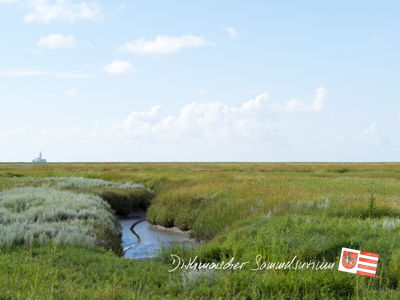 Deichvorland bei Friedrichskoog mit Bohrinsel Mittelplate.